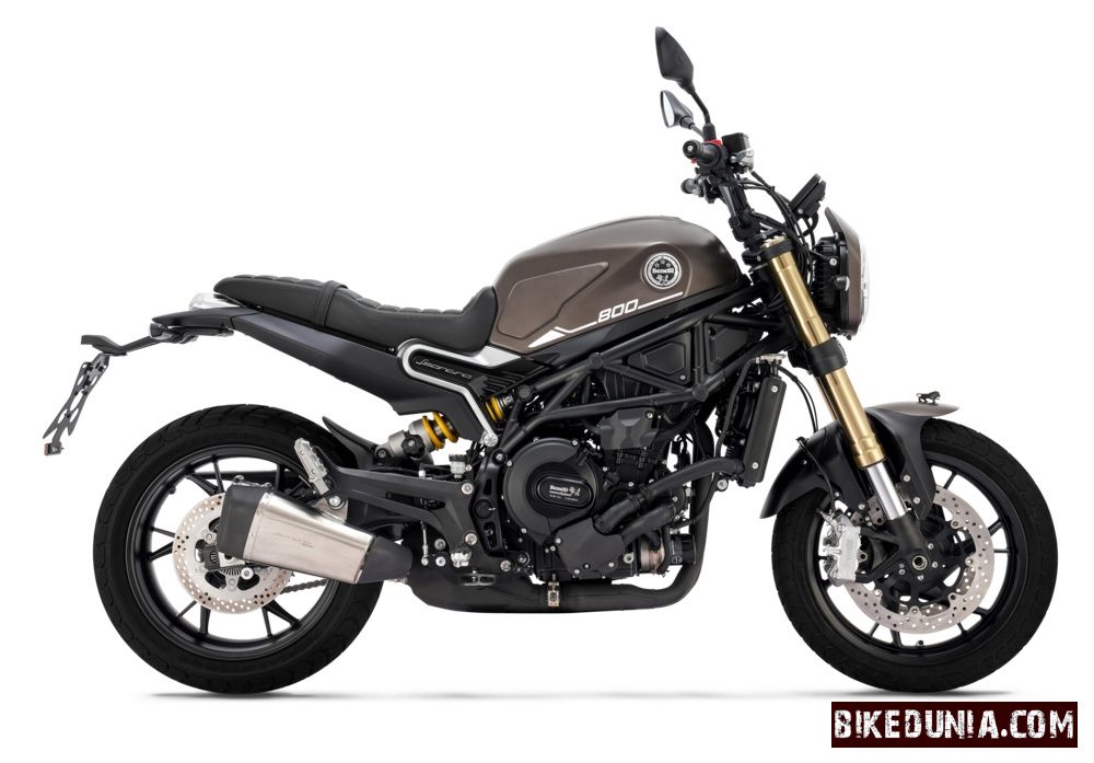 Benelli Leoncino 800 2026 Terrain Brown