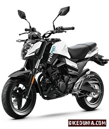 CFMoto ST Papio
