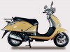 Eider Motors Leora