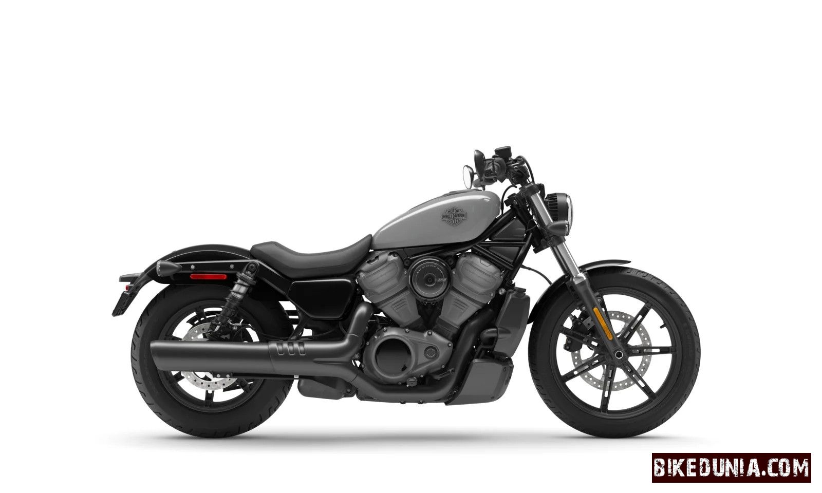 Harley Davidson 2024 Nightster Billiard Gray