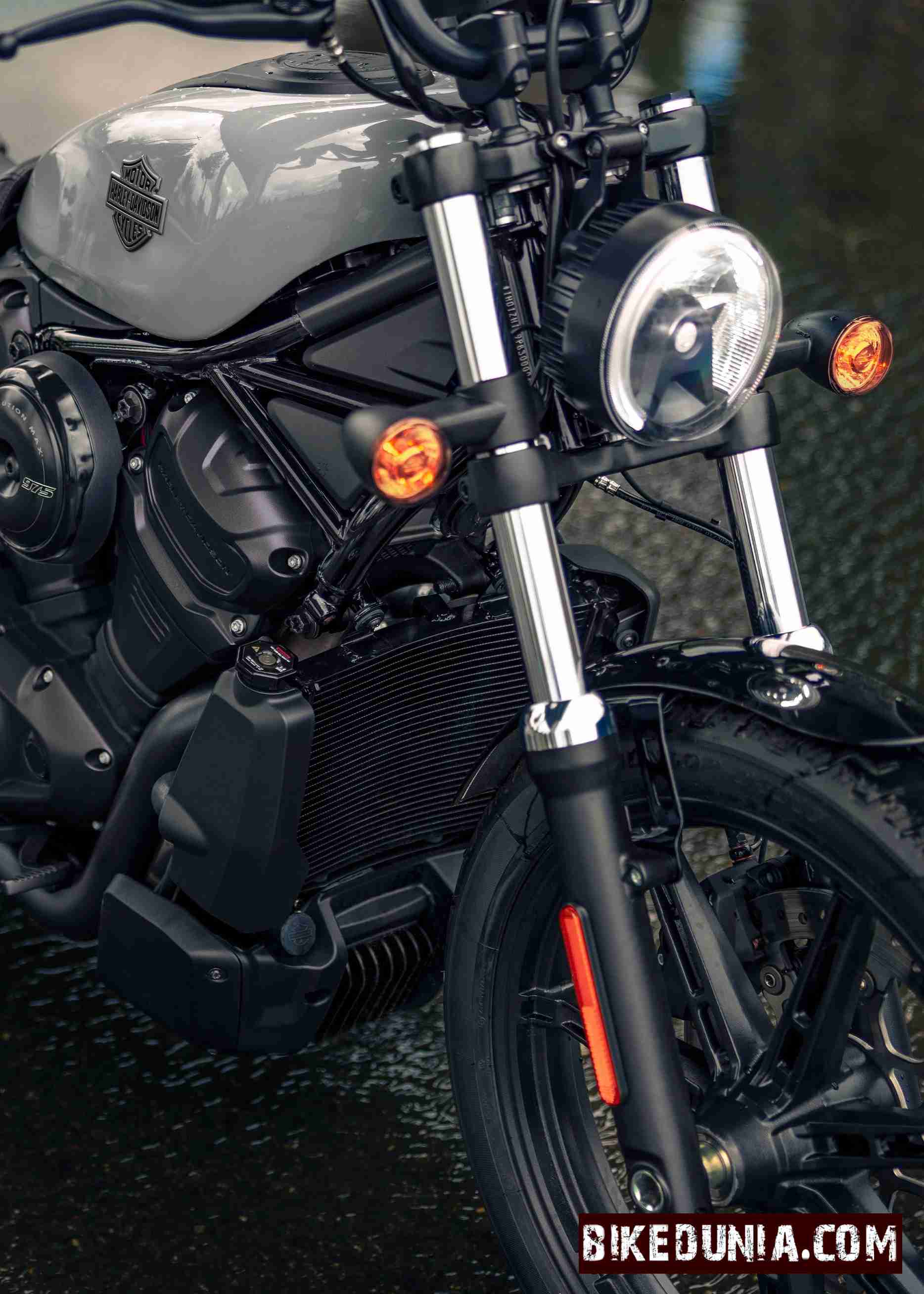 Harley Davidson Nightster 2025