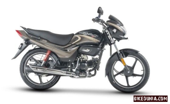 Hero Passion Plus 2025 Black Brown Stripes