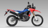 Honda CRF300L Rally