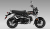 Honda Dax 125
