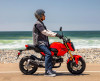 Honda Grom