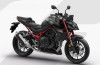 Honda Hornet
