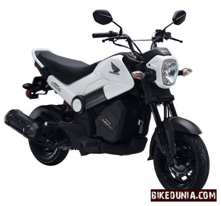 Honda Navi Shasta White