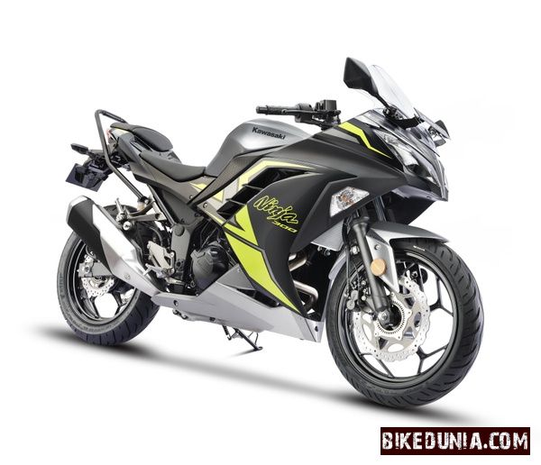 Kawasaki Ninja 300 2025 Metallic Moondust Gray