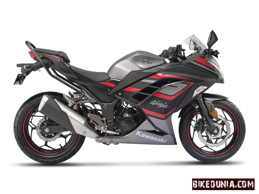 Kawasaki Ninja 300 Metallic Moondust Gray
