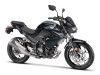 Kawasaki Z300 2027