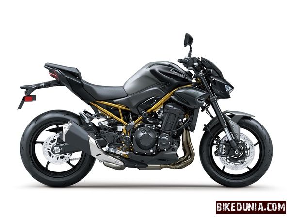 Kawasaki Z900 2026