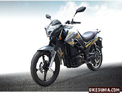 Seeka SSeagun Regent Gray