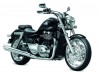 Triumph Thunderbird