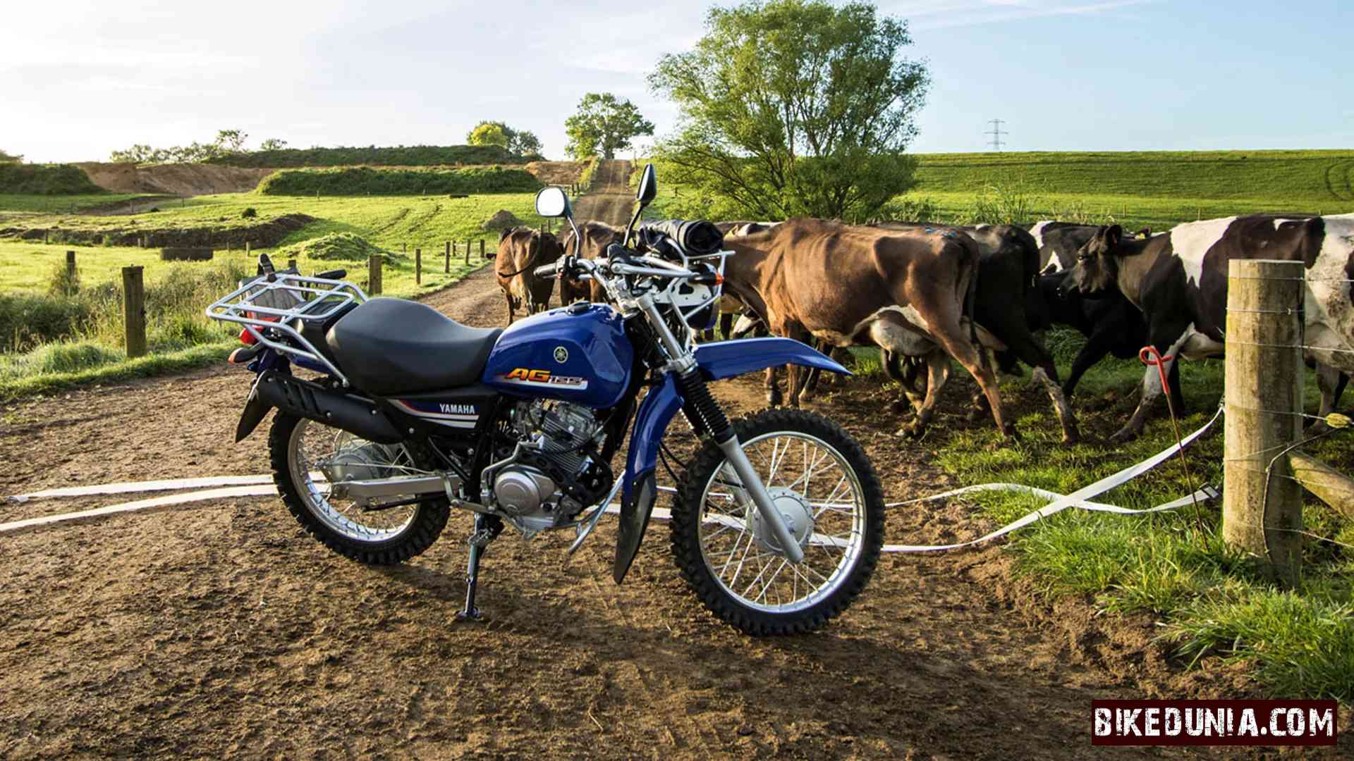 Yamaha AG125