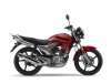 Yamaha YBR Series