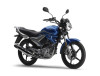 Yamaha YBR125E