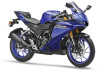 Yamaha YZF R2 Quick Shifter
