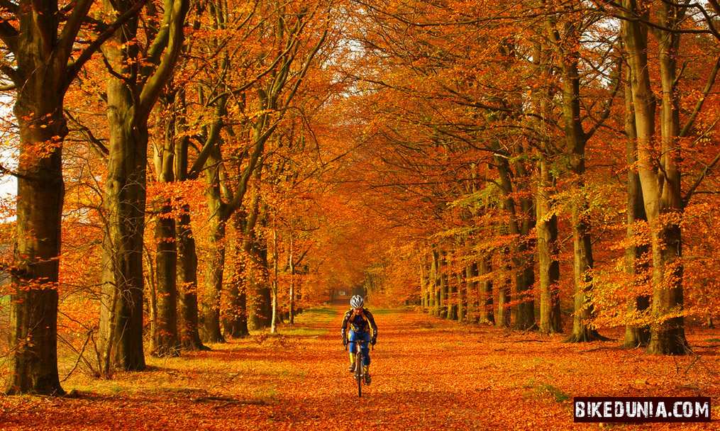 Autumnc Cycling